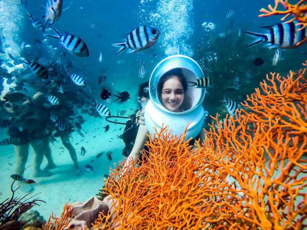 VIP guests enjoy an extended undersea experience and exclusive access to rare coral areas (Source: phuquoctrip.com)